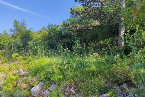 Bouwgrond Vrbnik, 1.193m2