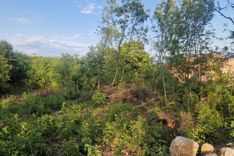 Bouwgrond Sar&scaron;oni, Vi&scaron;kovo, 3.082m2