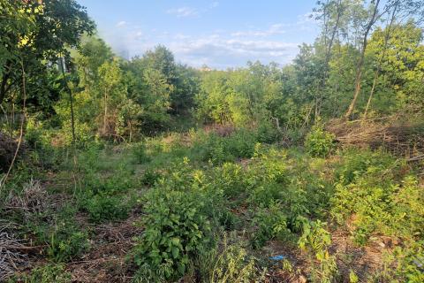 Bouwgrond Sar&scaron;oni, Vi&scaron;kovo, 3.082m2