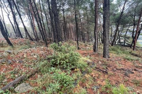 Niet bouwgrond Krk, 1.397m2