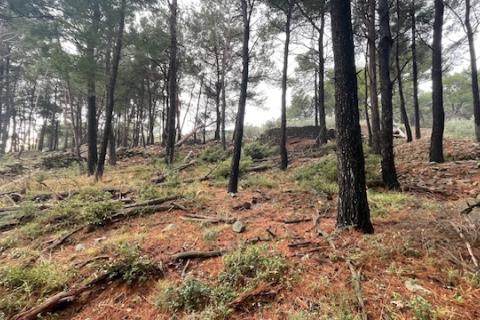 Niet bouwgrond Krk, 1.397m2