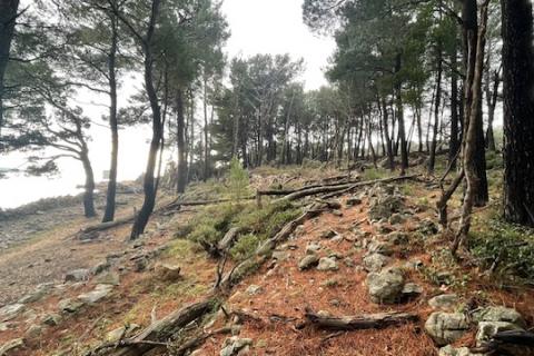 Niet bouwgrond Krk, 1.397m2