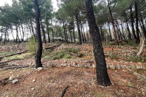 Niet bouwgrond Krk, 1.397m2