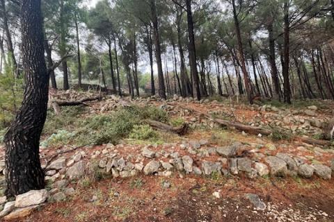 Niet bouwgrond Krk, 1.397m2