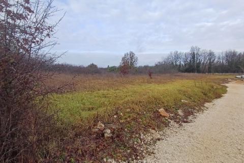 Bouwgrond Bo&scaron;kari, Svetvinčenat, 774m2