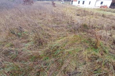 Bouwgrond Bo&scaron;kari, Svetvinčenat, 774m2