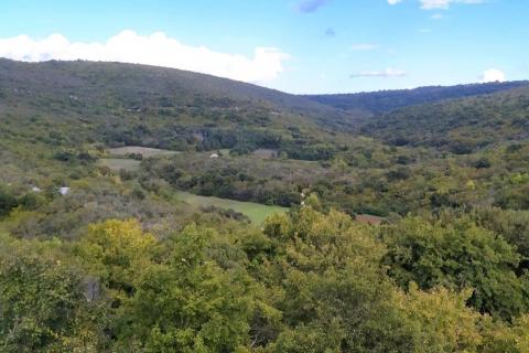 Terreno non edificabile Peru&scaron;ki, Marčana, 41.610m2