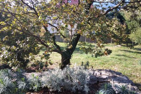 Huis Glavani, Kostrena, 250m2