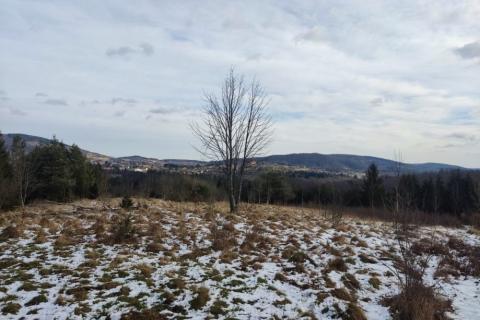 Building plot Vujnovići, Vrbovsko, 1.300m2