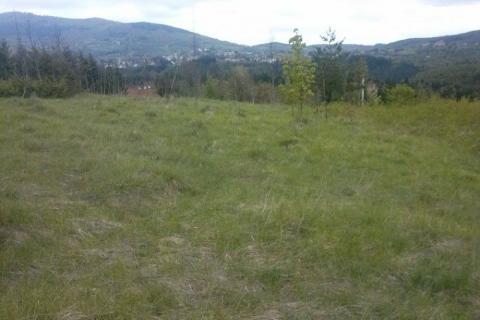 Building plot Vujnovići, Vrbovsko, 1.300m2