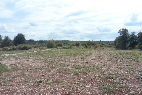 Building plot Kanfanar, 3.825m2
