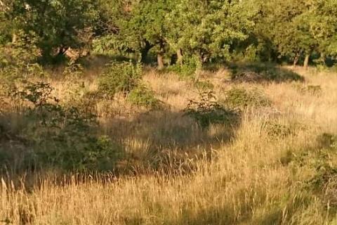 Stavbno zemlji&scaron;če Karlobag, 1.260m2