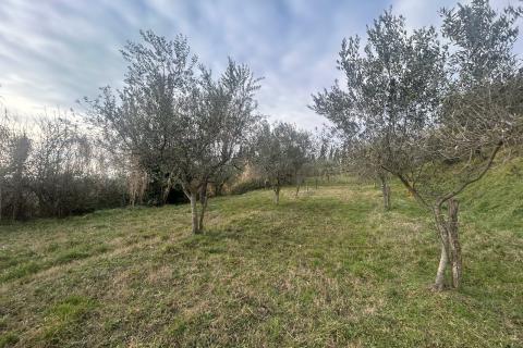 Buje, poljoprivredno zemlji&scaron;te veličine 806 m2