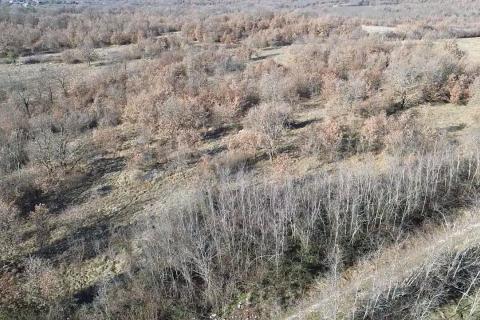 Istra, Baderna, okolica - veliko poljoprivredno zemlji&scaron;te  veličine 27086