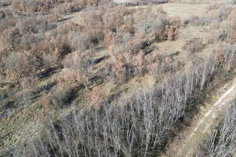 Istra, Baderna, okolica - veliko poljoprivredno zemlji&scaron;te  veličine 27086