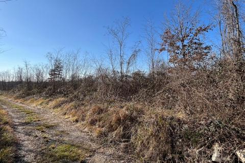 Istra, Baderna, okolica - veliko poljoprivredno zemlji&scaron;te  veličine 27086