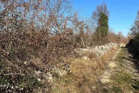 Istra, Baderna, okolica - veliko poljoprivredno zemlji&scaron;te  veličine 27086