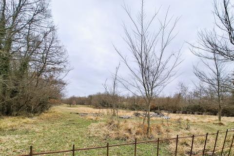 Istria, Brtonigla, agricultural land 9,862 m&sup2;