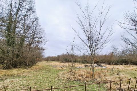 Istria, Brtonigla, agricultural land 9,862 m&sup2;