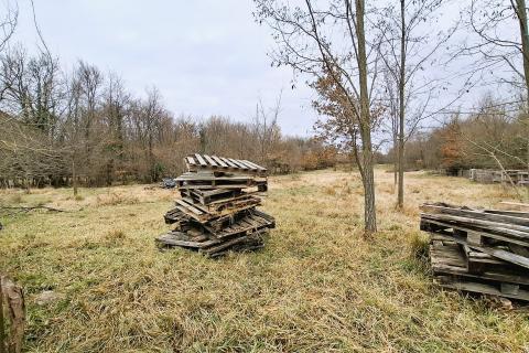 Istria, Brtonigla, agricultural land 9,862 m&sup2;