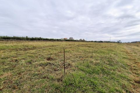 Novigrad, negrađevinsko zemlji&scaron;te 708 m2
