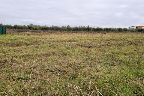 Novigrad, negrađevinsko zemlji&scaron;te 708 m2