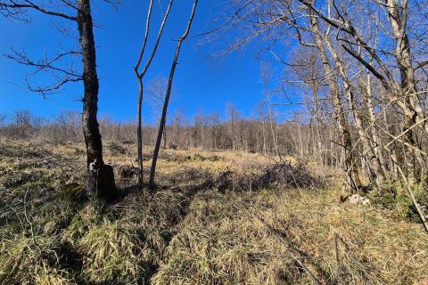 Rijeka, Kastav- teren s projektom za kuću prizemnicu