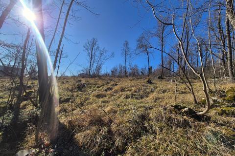 Rijeka, Kastav- građevinsko zemlji&scaron;te u prirodi