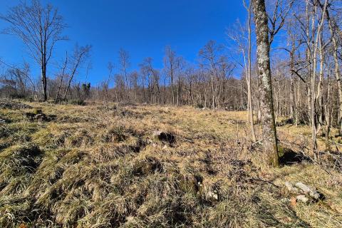 Rijeka, Kastav- građevinsko zemlji&scaron;te u prirodi