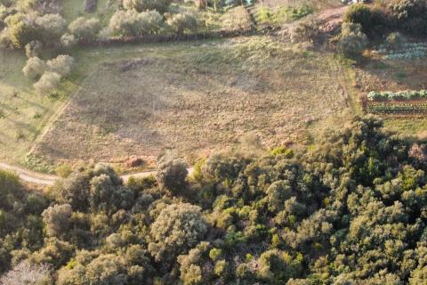 Rovinj, pa&scaron;njak - 200 m od mora