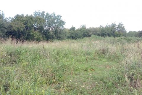 Bauland Ka&scaron;tel, Buje, 2.265m2