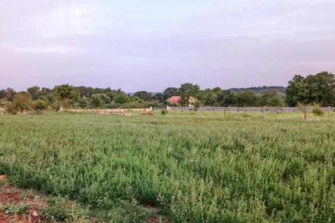 Земельный участок строительного назначения Marčana, 6.162m2