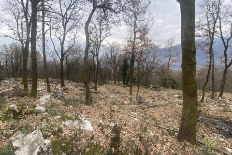 Building plot Veprinac, Opatija - Okolica, 1.016m2