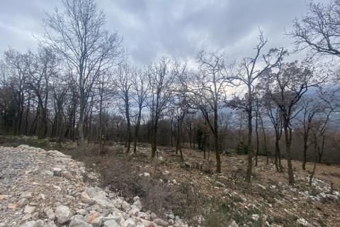 Building plot Veprinac, Opatija - Okolica, 1.016m2