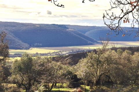 Stavbno zemlji&scaron;če Krasica, Buje, 2.133m2
