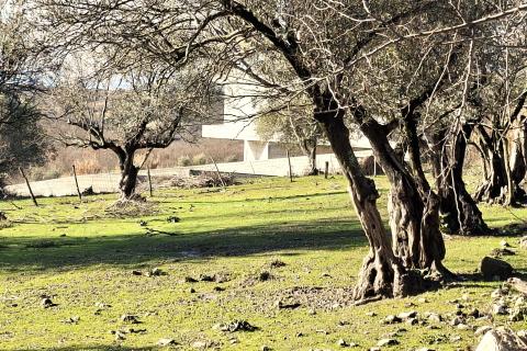 Stavbno zemlji&scaron;če Krasica, Buje, 2.133m2