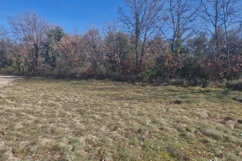 Istria, Pavićini &ndash; terreno edificabile a 2 km dal mare