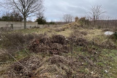 Haus Vižinada, 530m2