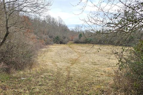 Istra, Grožnjan okolica, građevinsko zemji&scaron;te