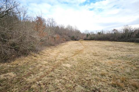 Istra, Grožnjan okolica, građevinsko zemji&scaron;te