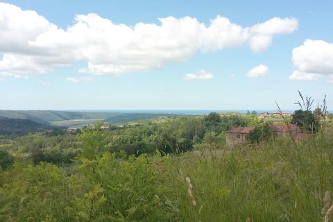 Istra, Buje - građevinsko zemlji&scaron;te, pogled na more, projekt za vilu s bazenom