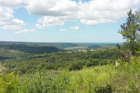 Istra, Buje - građevinsko zemlji&scaron;te, pogled na more, projekt za vilu s bazenom