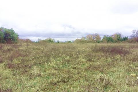 Istra, Umag - građevinsko zemlji&scaron;te za kuće i stanove