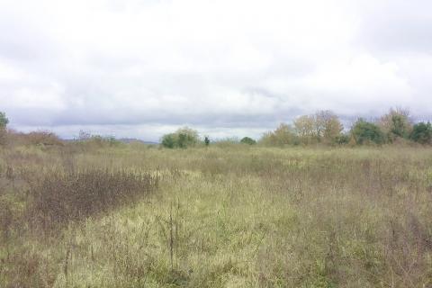 Istra, Umag - građevinsko zemlji&scaron;te za kuće i stanove