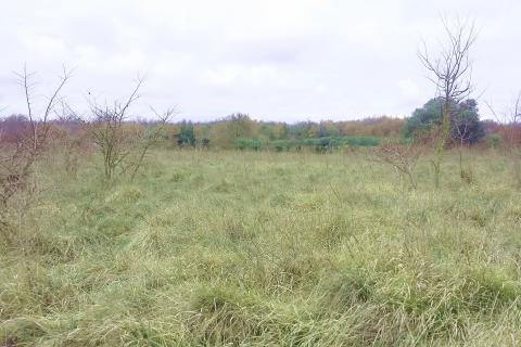 Istra, Umag - građevinsko zemlji&scaron;te za kuće i stanove