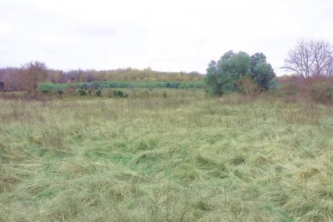 Istra, Umag - građevinsko zemlji&scaron;te za kuće i stanove