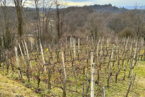 Tuheljske toplice, kuća-imanje, uhodani turistički objekt Robinzonskog turizma