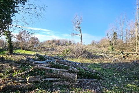 Istra, Umag okolica- građevinsko zemlji&scaron;te