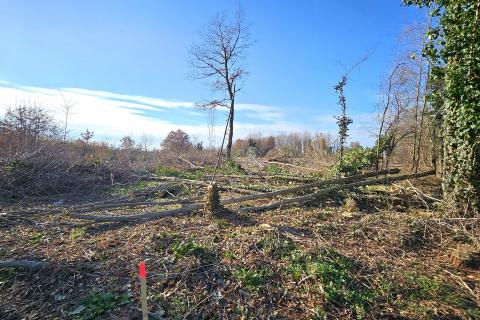 Istra, Umag okolica- građevinsko zemlji&scaron;te