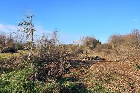Istra, Umag okolica- građevinsko zemlji&scaron;te